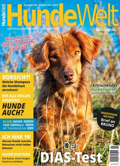 Hunde Welt