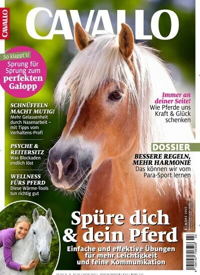 Cavallo