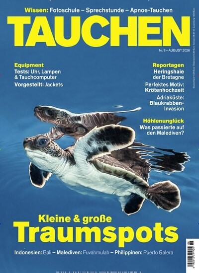 Tauchen