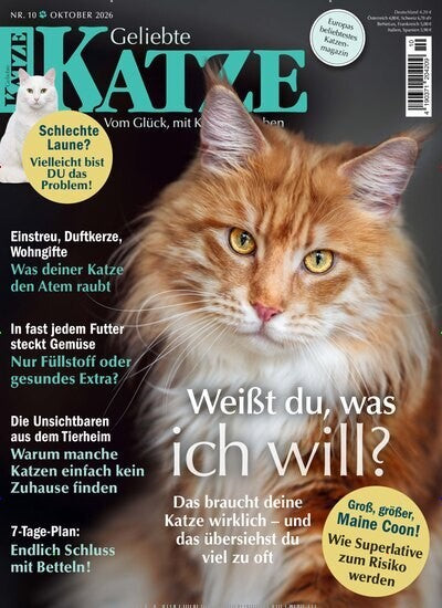 Geliebte Katze