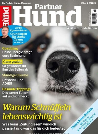 Partner Hund