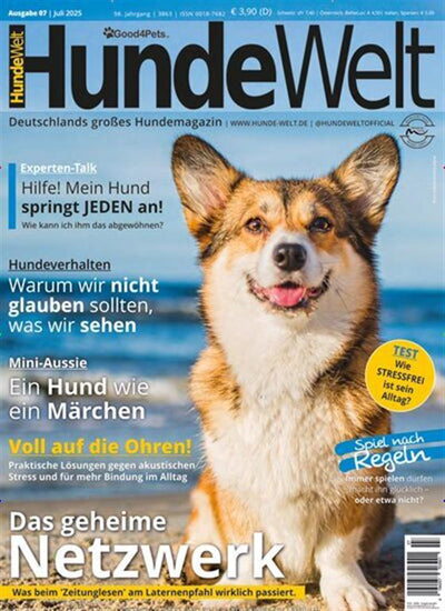 Hunde Welt