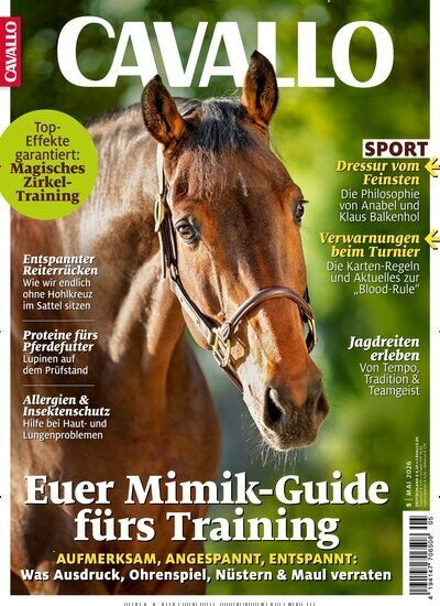 Cavallo
